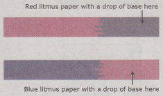 Blue Litmus Paper Color Chart
