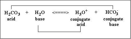 Conjugate acids and bases and alkali's - Acids and Bases